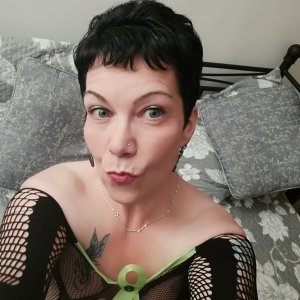 (5) Erotik Kontakt aus Steinfurt