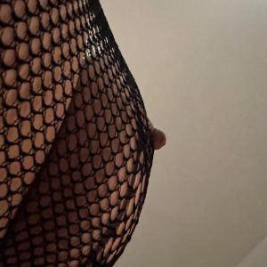 (3) Erotik Kontakt aus Stralsund