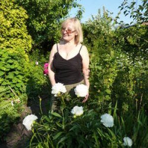 (4) Erotik Kontakt aus Göhren