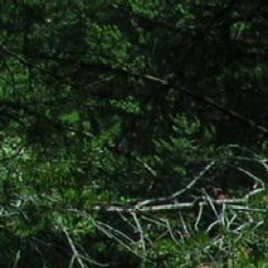 (1) Erotik Kontakt aus Pfarrkirchen