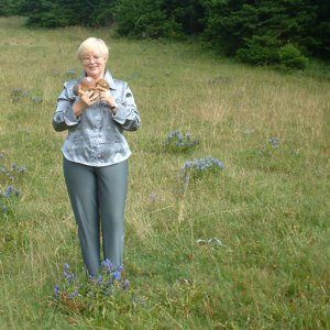 (5) Erotik Kontakt aus Hippelsbach